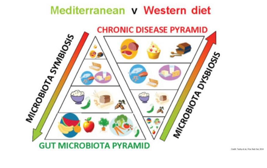 mediterranean versus western diet