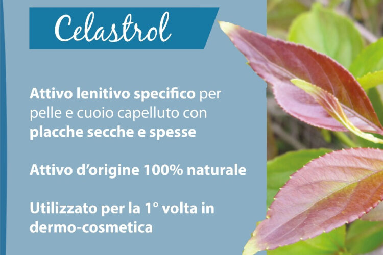 pianta di Celastrol
