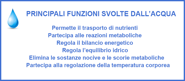 principali funzioni svolte dall'acqua